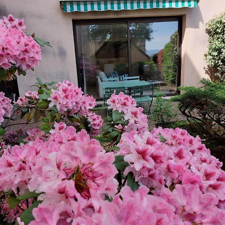 Le Denyspuech 55M2 Plein Centre Avec Jardin! Apartman Rodez Kültér fotó