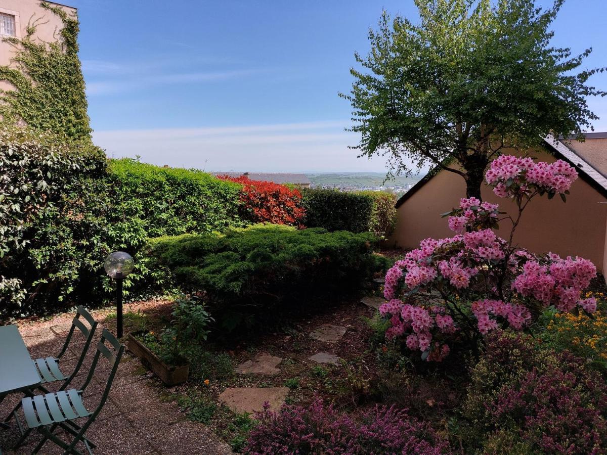 Le Denyspuech 55M2 Plein Centre Avec Jardin! Apartman Rodez Kültér fotó