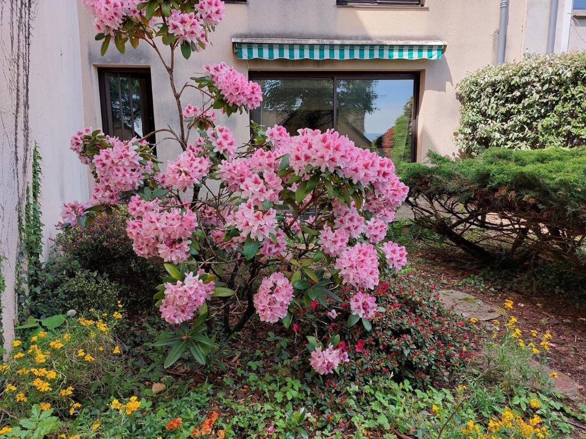 Le Denyspuech 55M2 Plein Centre Avec Jardin! Apartman Rodez Kültér fotó