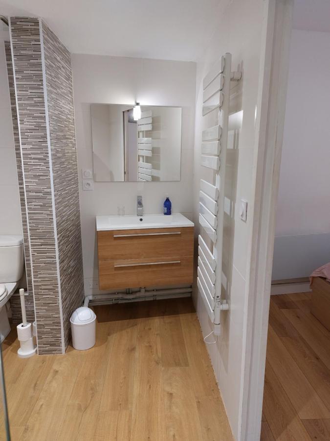 Le Denyspuech 55M2 Plein Centre Avec Jardin! Apartman Rodez Kültér fotó